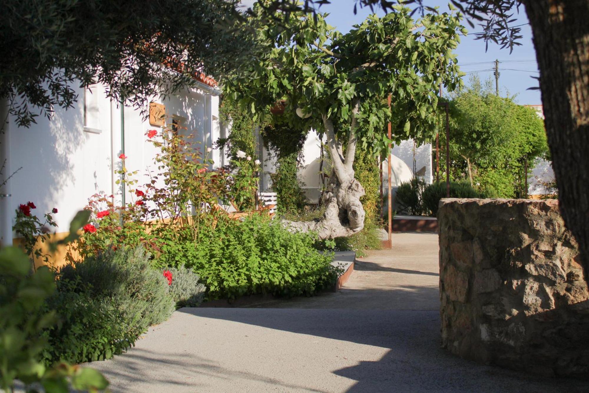 Sao Bras Do Regedouro - Turismo Na Aldeia Villa Évora Exterior foto