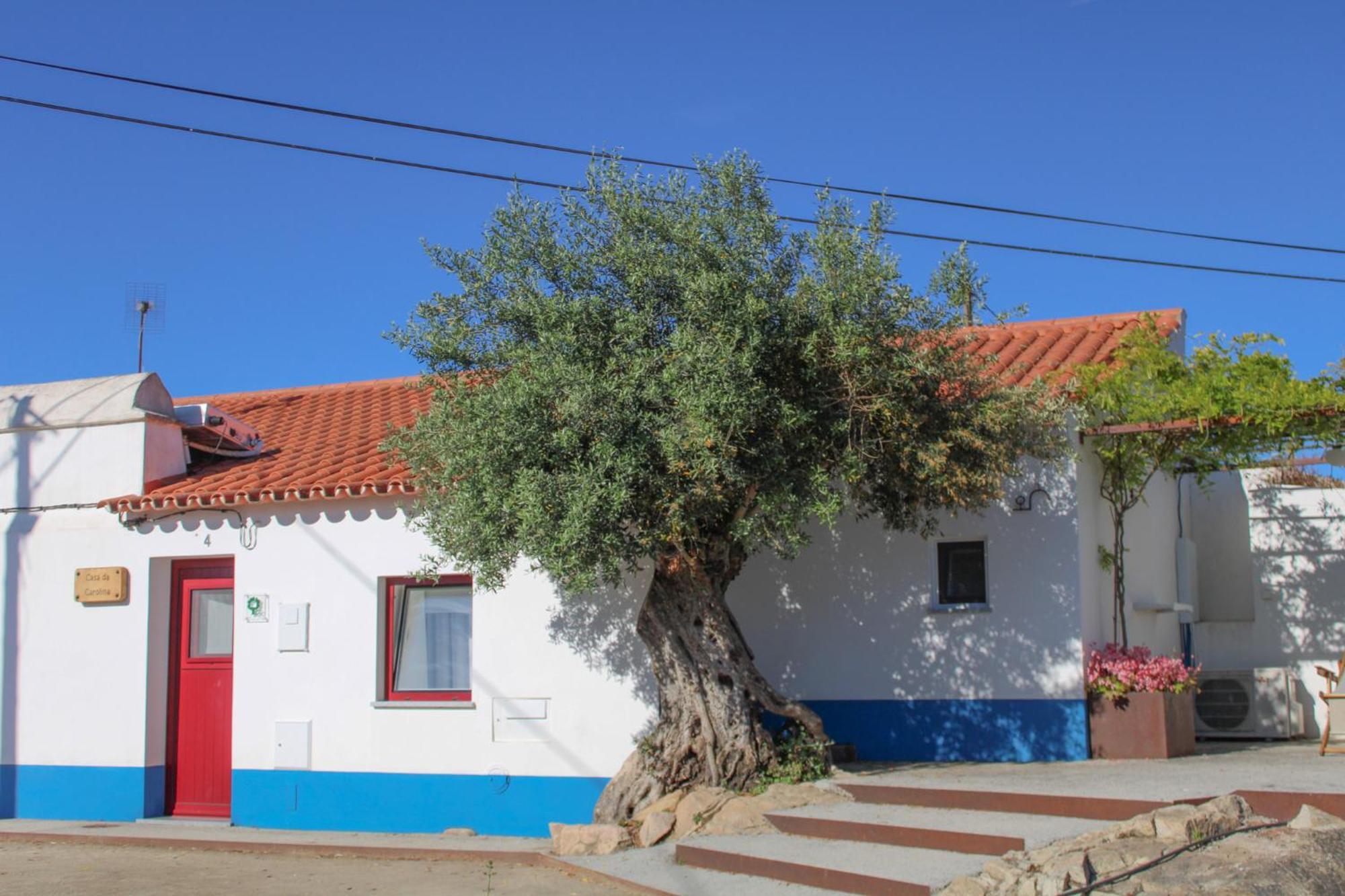 Sao Bras Do Regedouro - Turismo Na Aldeia Villa Évora Exterior foto